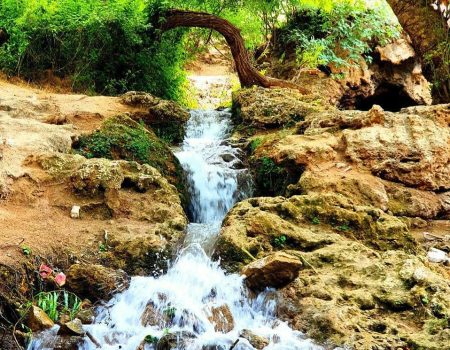 امام قنبر درگز