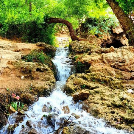 امام قنبر درگز